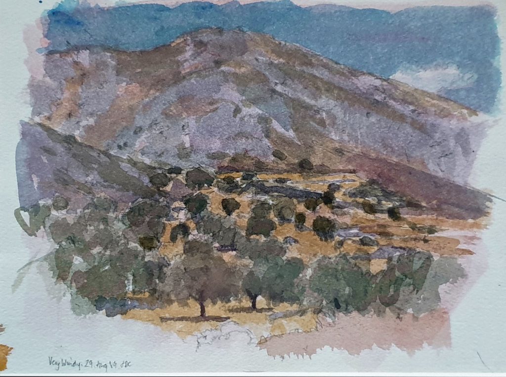 Janina Cebertowicz - Olive Grove – Very Windy - watercolour 17x24cm £330