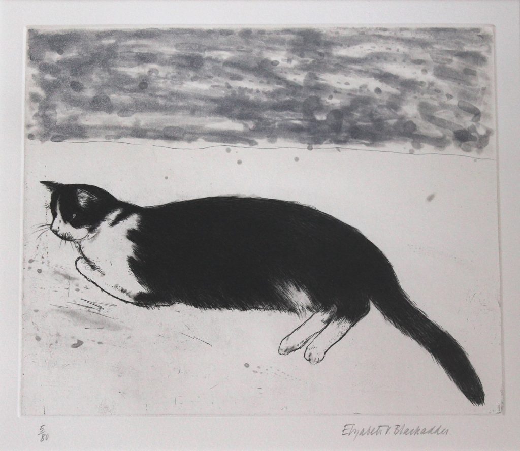 Elizabeth Blackadder - Fred - coloured etching, size: 30x35cm £1,850