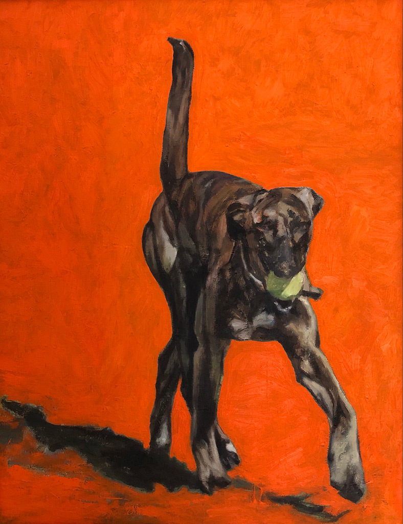 Simon Hadley Attard - Dog with a Ball - oil on canvas, size: 60x50cm £900
