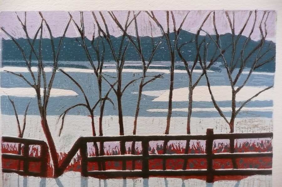 Frances Seba Smith - Martin Mere, Winter - linocut 26.5x36.5cm £275 Frances Seba Smith - Martin Mere, Winter - linocut 26.5x36.5cm £275