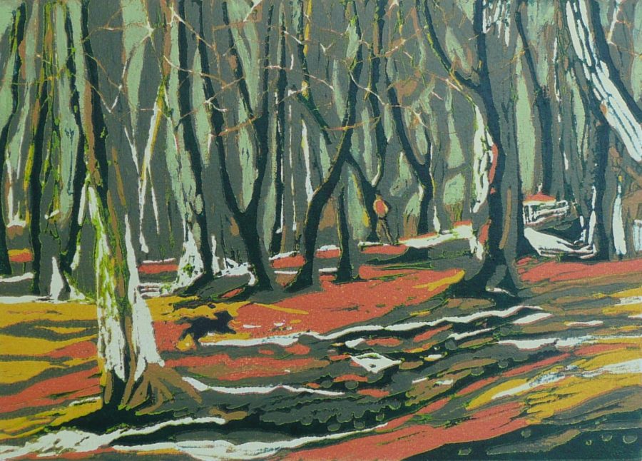 Frances Seba Smith - Cheshire Woods - linocut £275