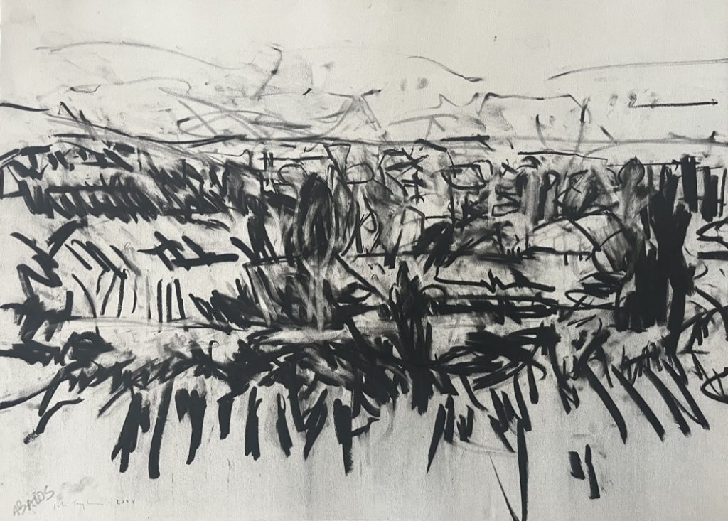 Colin Taylor - Abalos - Charcoal on Arches Paper, 56x76cm £585