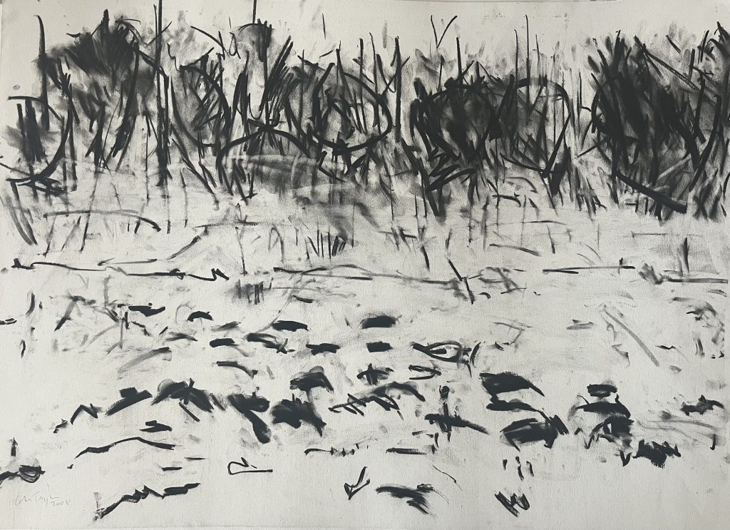 Colin Taylor - Field, East Rounton, Teeside - Charcoal on Arches Paper, 56x76cm £585
