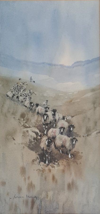 Brian Irving – Sheep in Swaledale - watercolour 31x15cm £400 Brian Irving – Sheep in Swaledale - watercolour 31x15cm £400